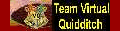 Team Virtual Quidditch